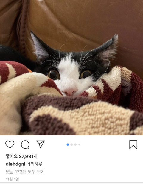 집사된 이동휘 (+ 2022 NEW! 둘째 업어온 이동휘) | 인스티즈