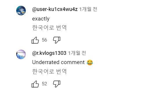 유튜브 까마귀 영상에 달린 댓글 하나로 이루어진 세계통일 | 인스티즈