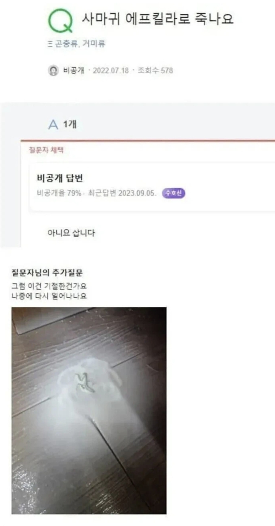 Daum 카페