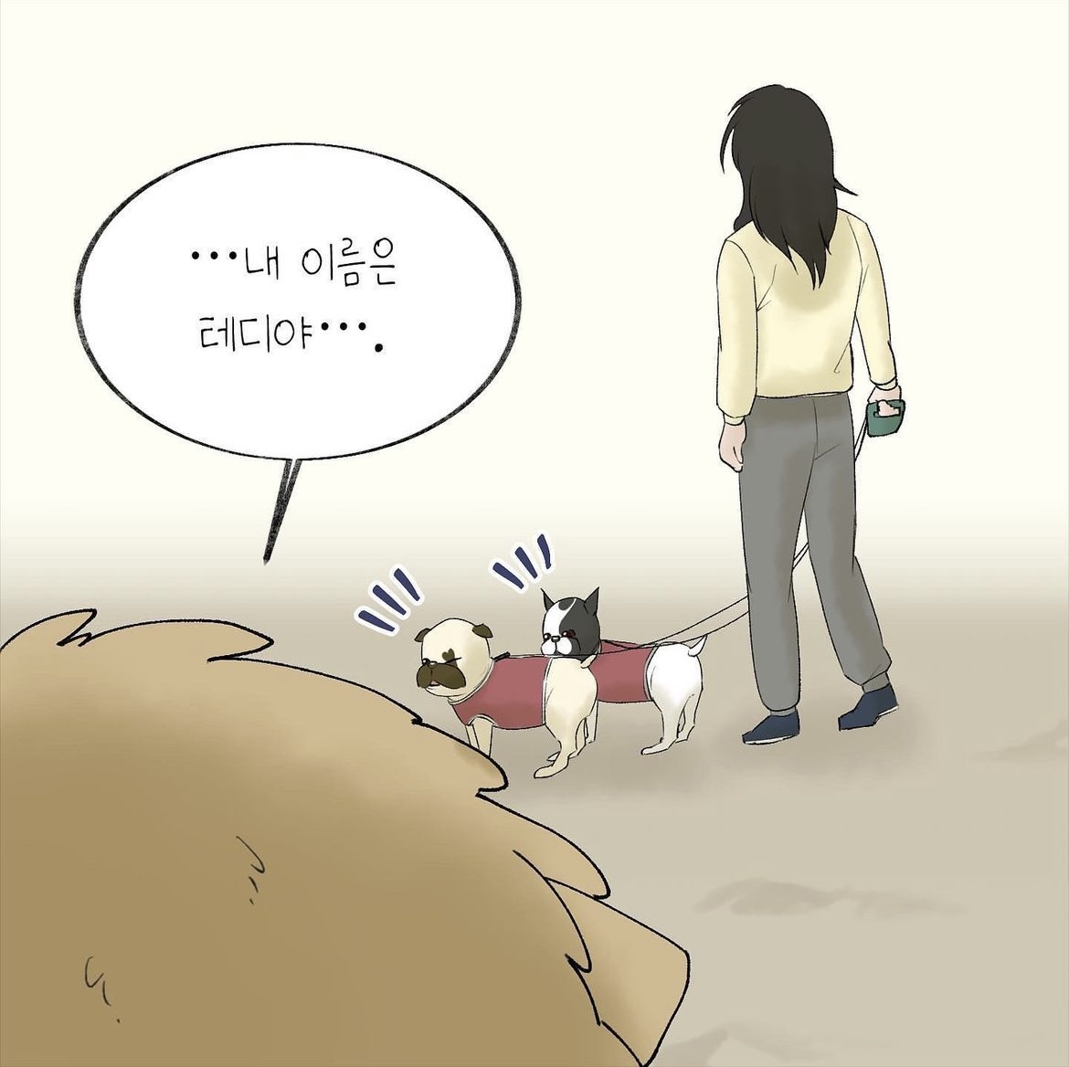 어느 팬(fan)의 선물로 시작된 테디의 안타까운 이야기 | 인스티즈