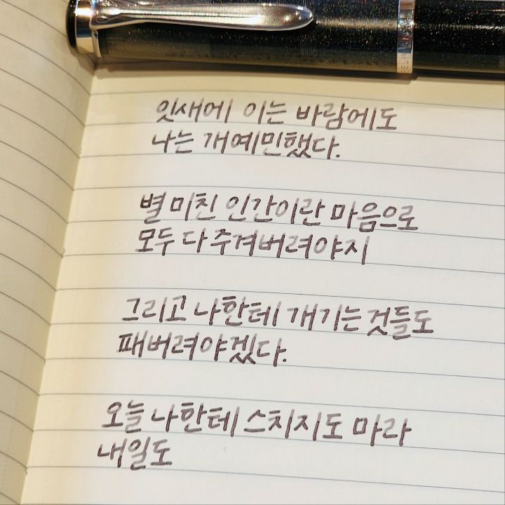 동생이 저한테 딱이라며 보내준 사진 | 인스티즈