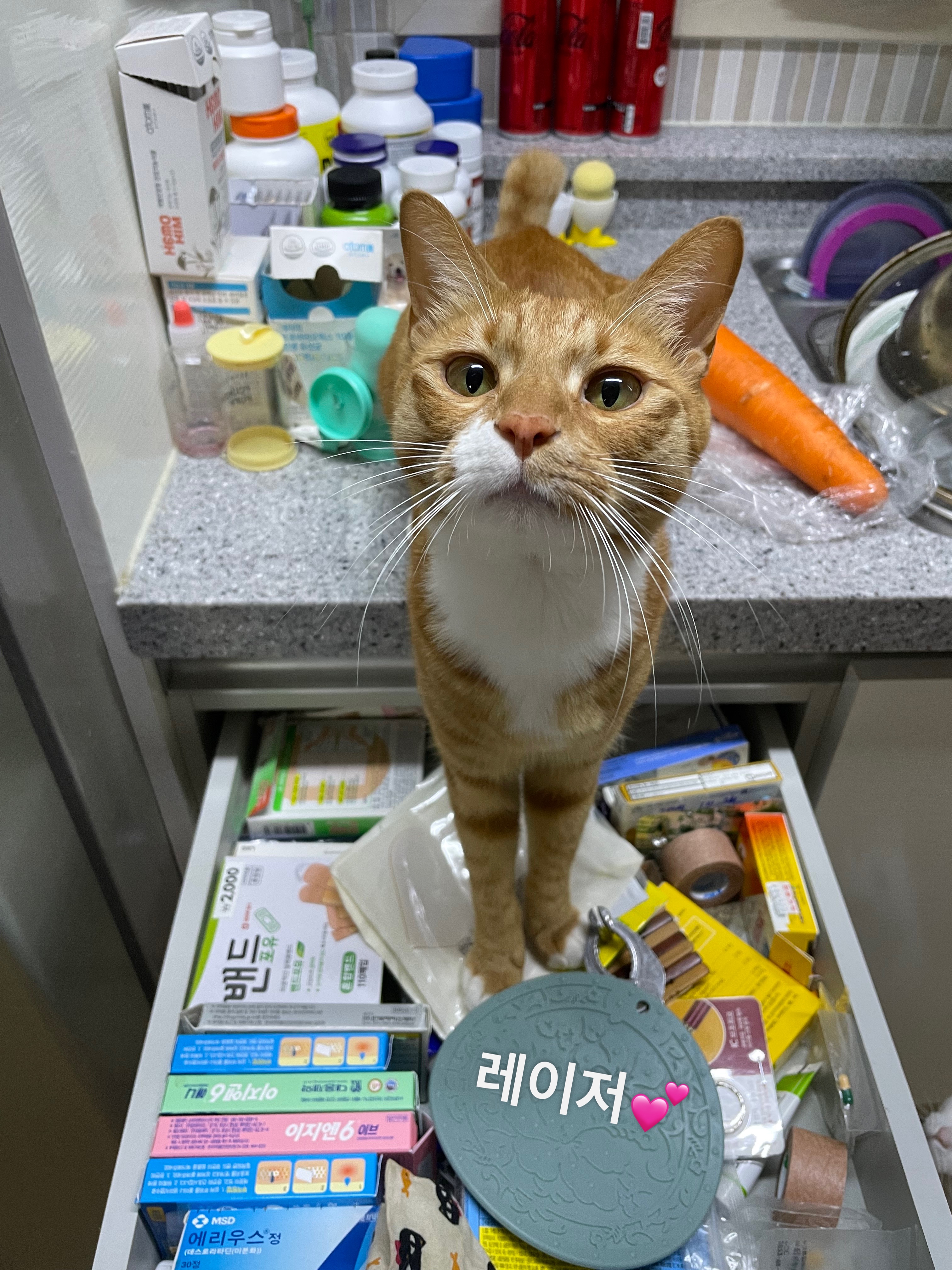 가... | 인스티즈