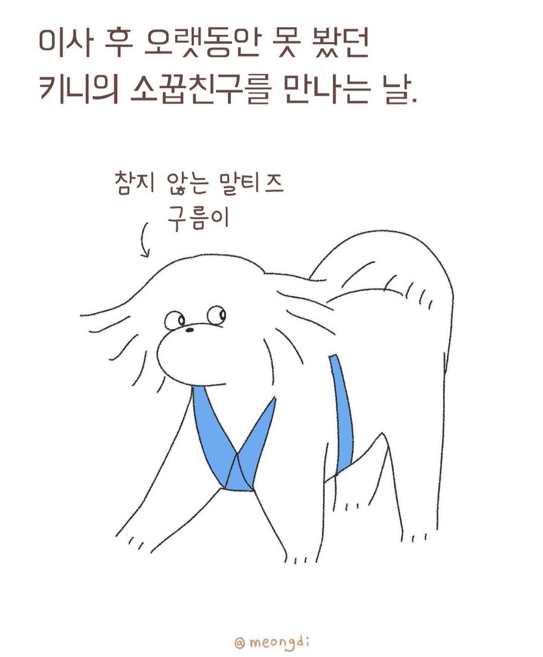 자신의 무해함을 최대한 어필하는 강쥐 | 인스티즈