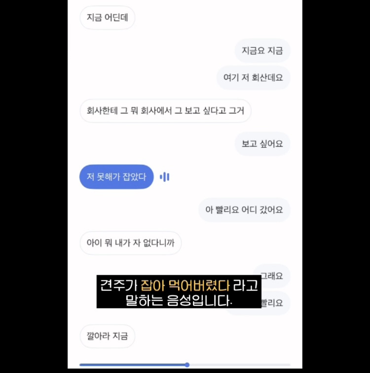 [입양홍보] 개장수에게 팔렸다 되찾아온 방치견 진순이·진돌이, 평생 가족을 찾아요! (부산/울산/전국) | 인스티즈