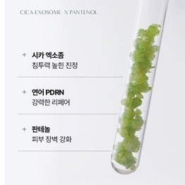 리페어 이미지