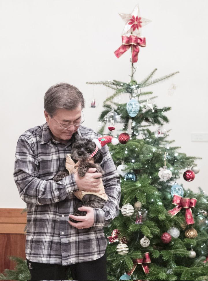 오늘자 올라온 문토리 사진 | 인스티즈