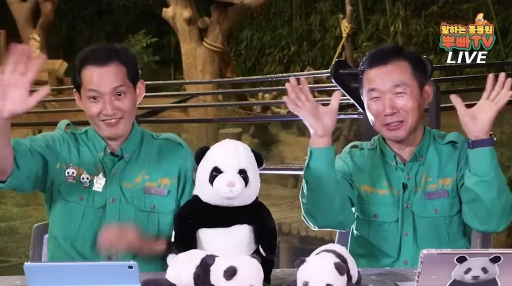 판다월드 반장선거에 나간 루이바오 🐼 | 인스티즈