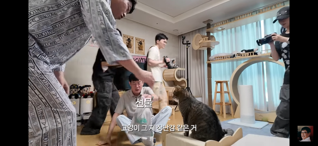 세계 최초 대기업 출신 고양이 | 인스티즈