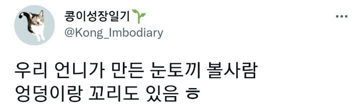 우리 언니가 만든 눈토끼 볼사람.twt | 인스티즈