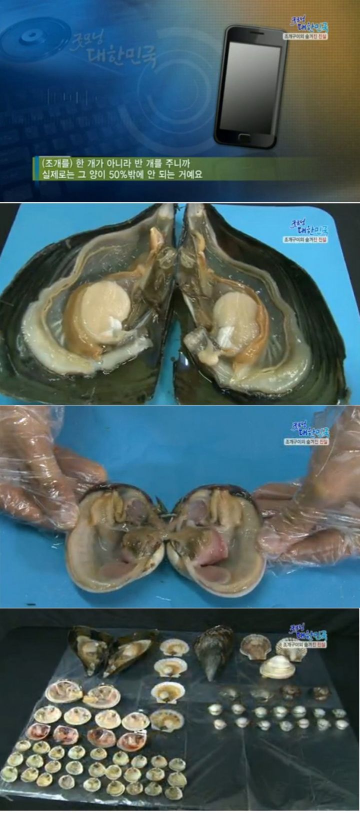 무한리필 조개구이의 진실 | 인스티즈