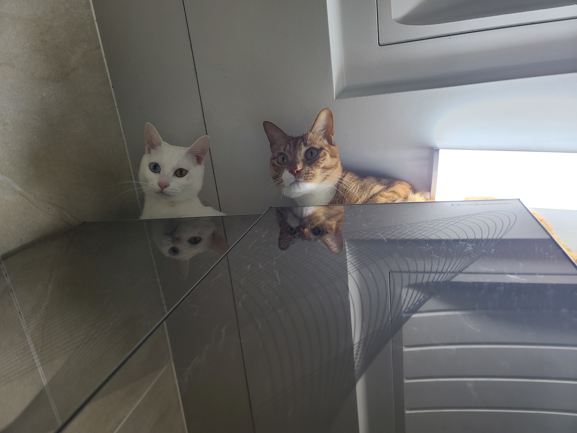 가... | 인스티즈