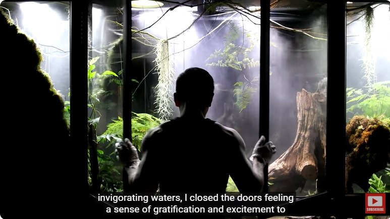 거대한 수조에 열대우림 환경을 조성해놓으면 생기는 일 - 2 | 인스티즈