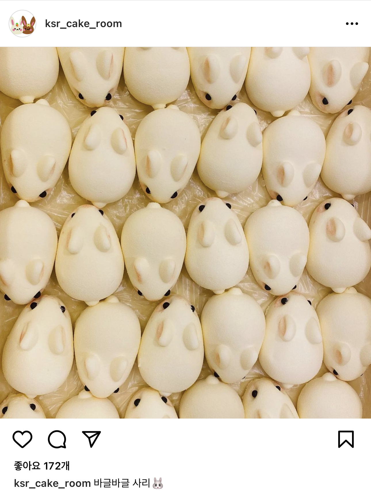 여기 사장님이 토끼로 세계정복하시는 게 꿈이심.twt | 인스티즈
