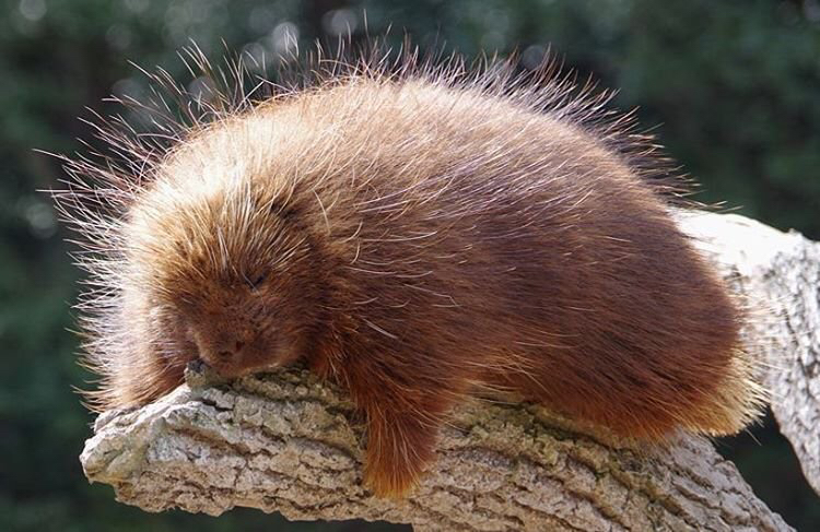 3390ad7ebe35754b02f182ec934205fb6855f44b