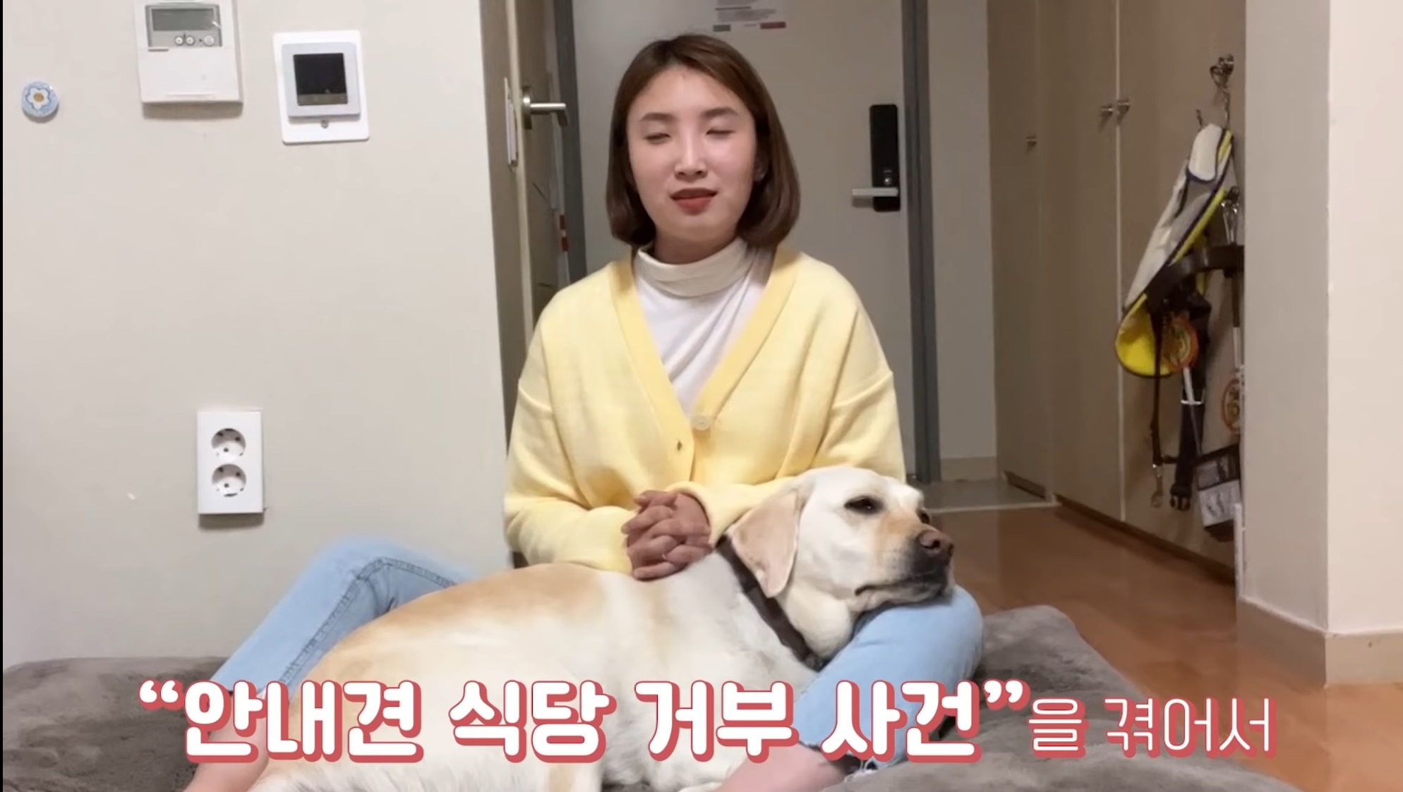 눈 떼고 식사하란 소리…시각장애 안내견 거부한 유명 식당 - 악플달면 쩌리쩌려버려 - ＊여성시대＊ 차분한 20대들의 알흠다운 공간 