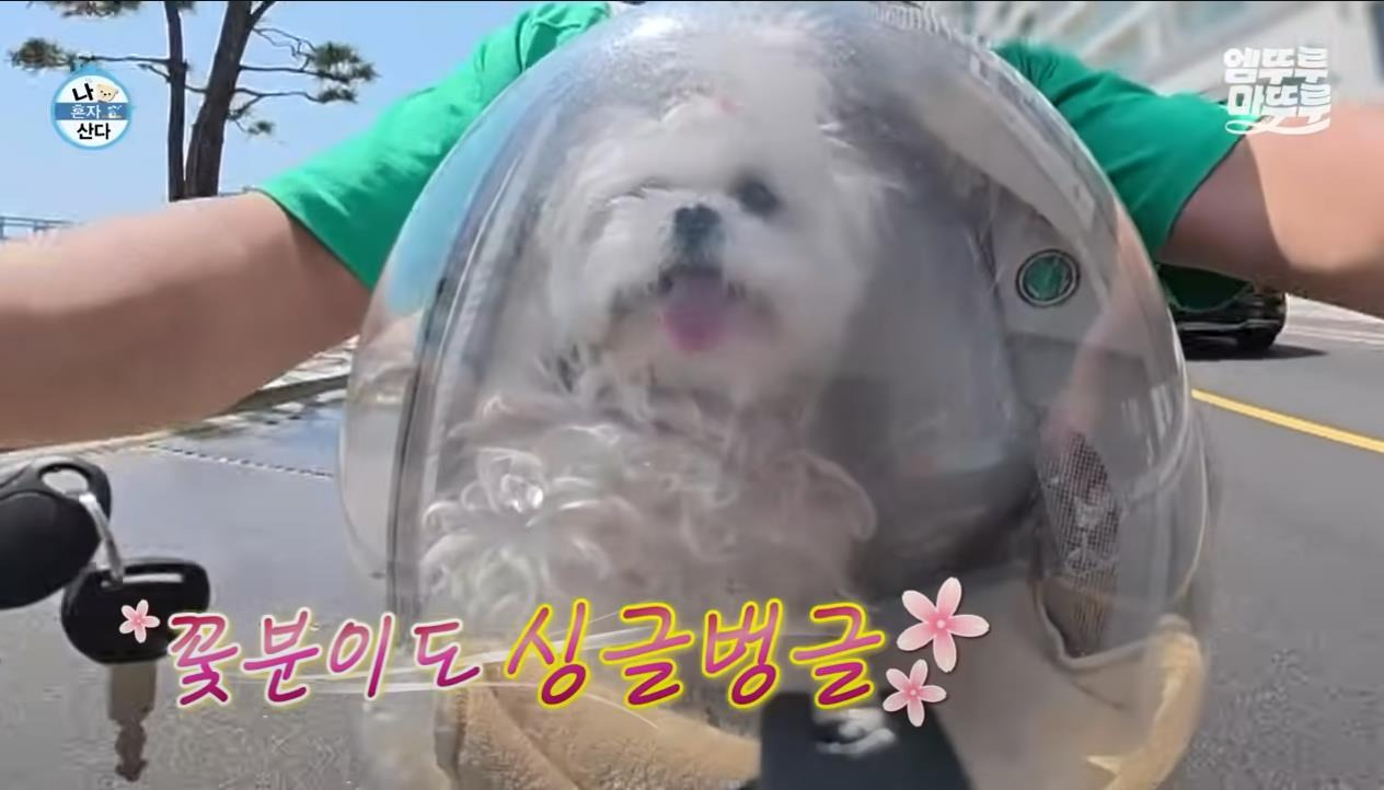 [나혼자산다] 정말 행복해 보이고, 낭만 미친 거 같은 구성환의 부산 한 달 살기 | 인스티즈