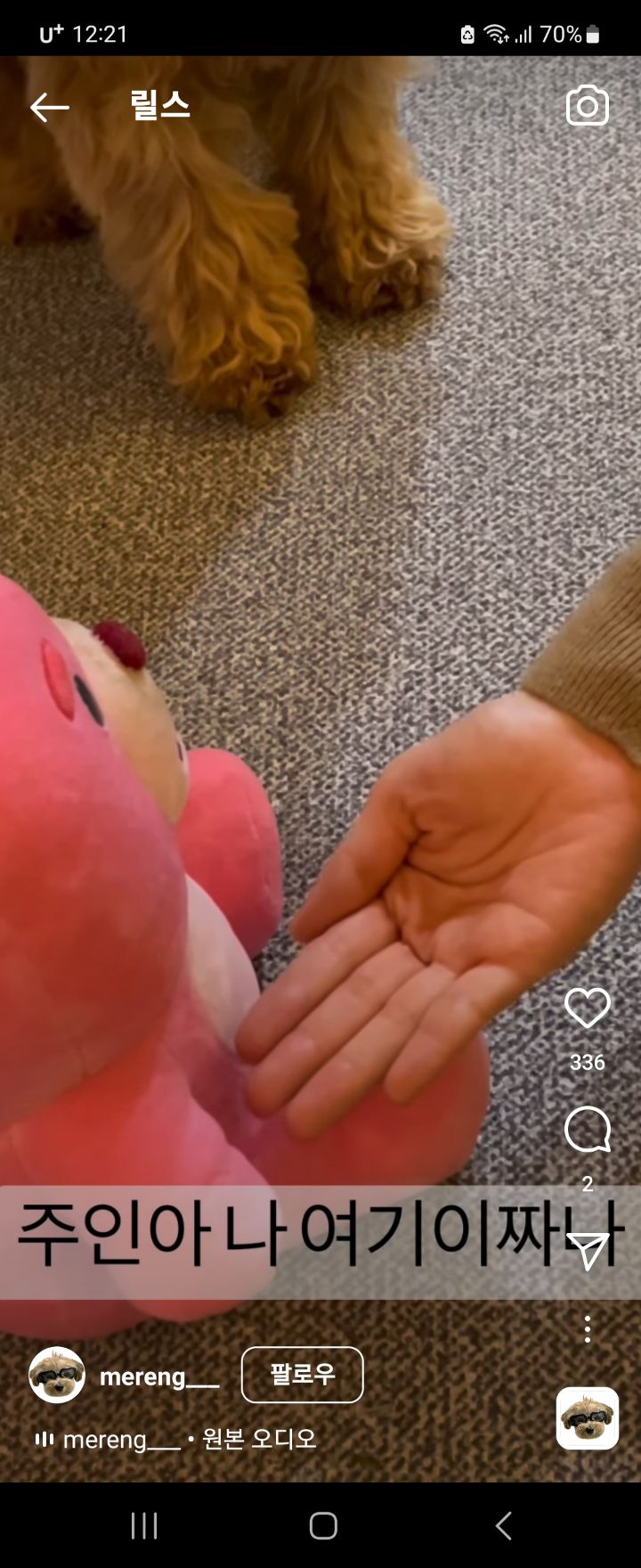 주인아 나 여기 이짜나 | 인스티즈