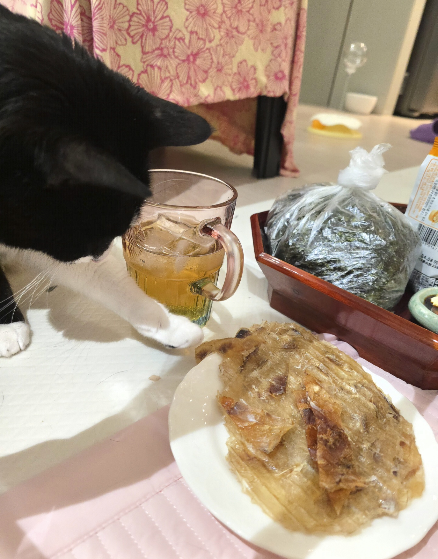 안주 뽏이는 고양이 어떤데 ㅋ 5나탄 ㅋ | 인스티즈