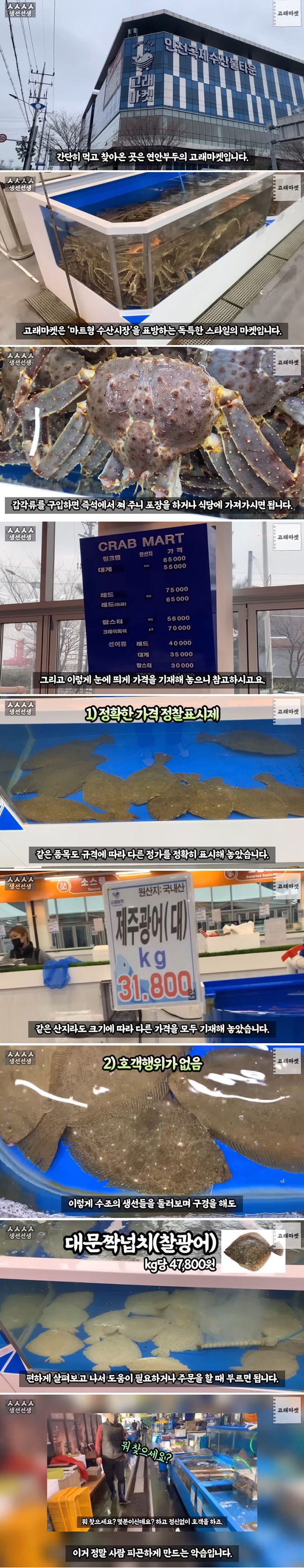 기존 수산시장의 단점을 극복한 현대식 수산시장의 현실 | 인스티즈