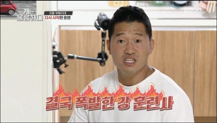 개 전문가와 고양이 전문가 인상 차이 | 인스티즈