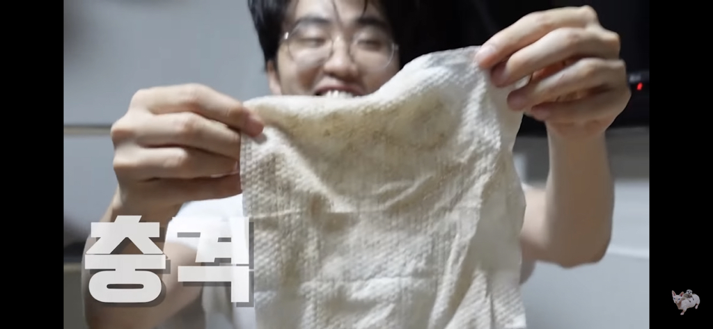 털이 없는 스핑크스는 키우기 편할까? (위생주의) | 인스티즈