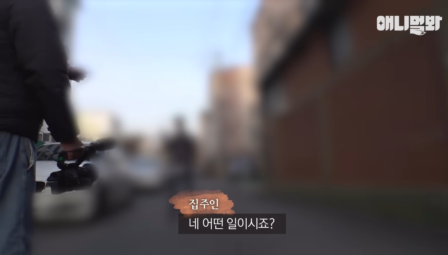 털로 뒤덮여서 걷지도 못하는데 케어한 거라는 견주 | 인스티즈