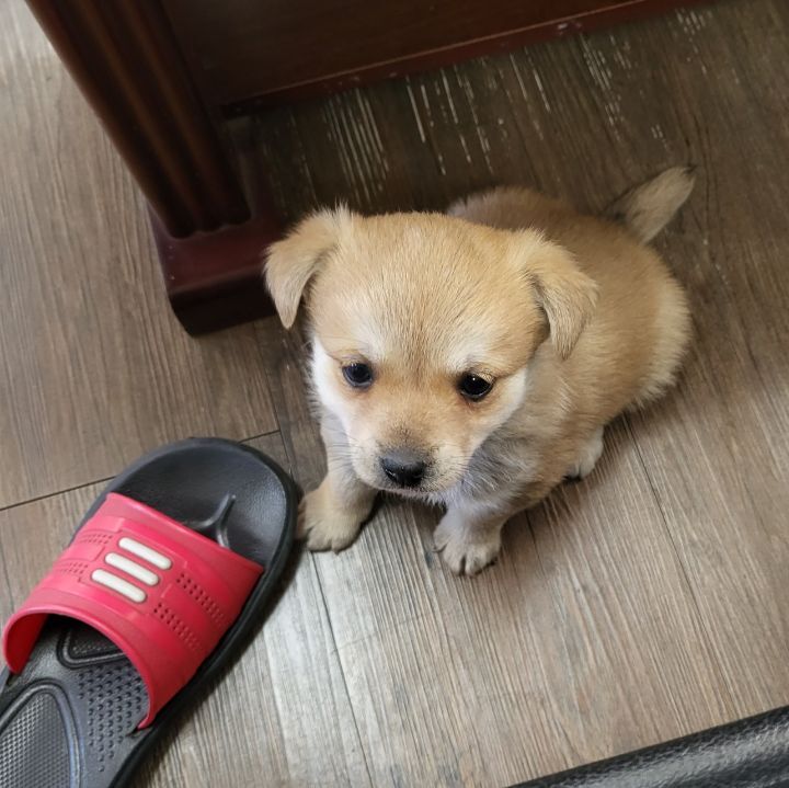 (공지라니... ++추가)새로생긴 회사 복지.. 미쳐서 도저히 일을 못하겠네.. (추가....)++추가 | 인스티즈