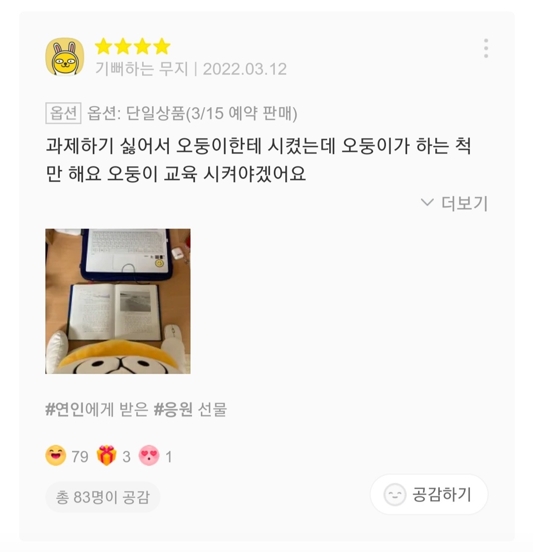 재치있는 오둥이 바디필로우 리뷰들 | 인스티즈