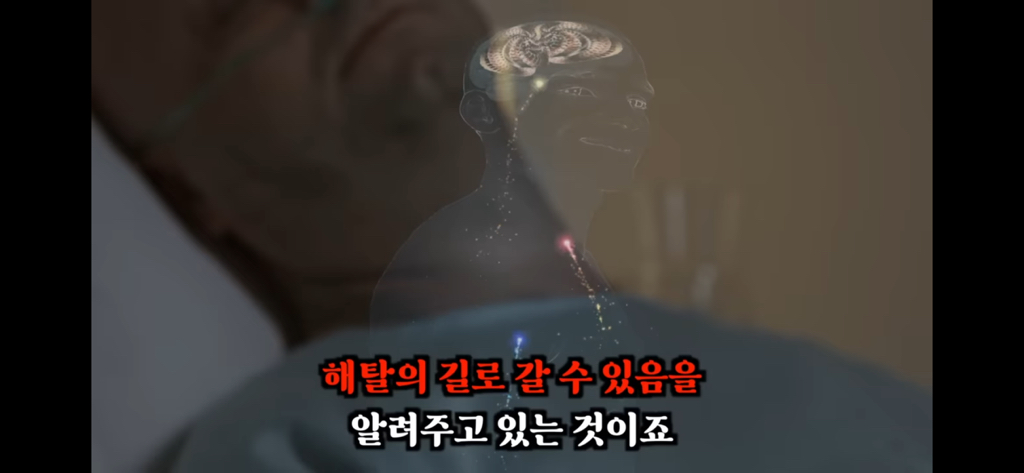 죽고나서 지구로 환생안하는 방법 4탄 | 인스티즈