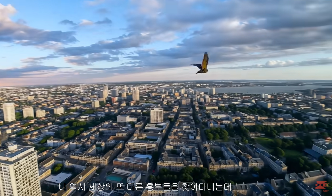 잘 어울리는 우체국 cf 모델 | 인스티즈