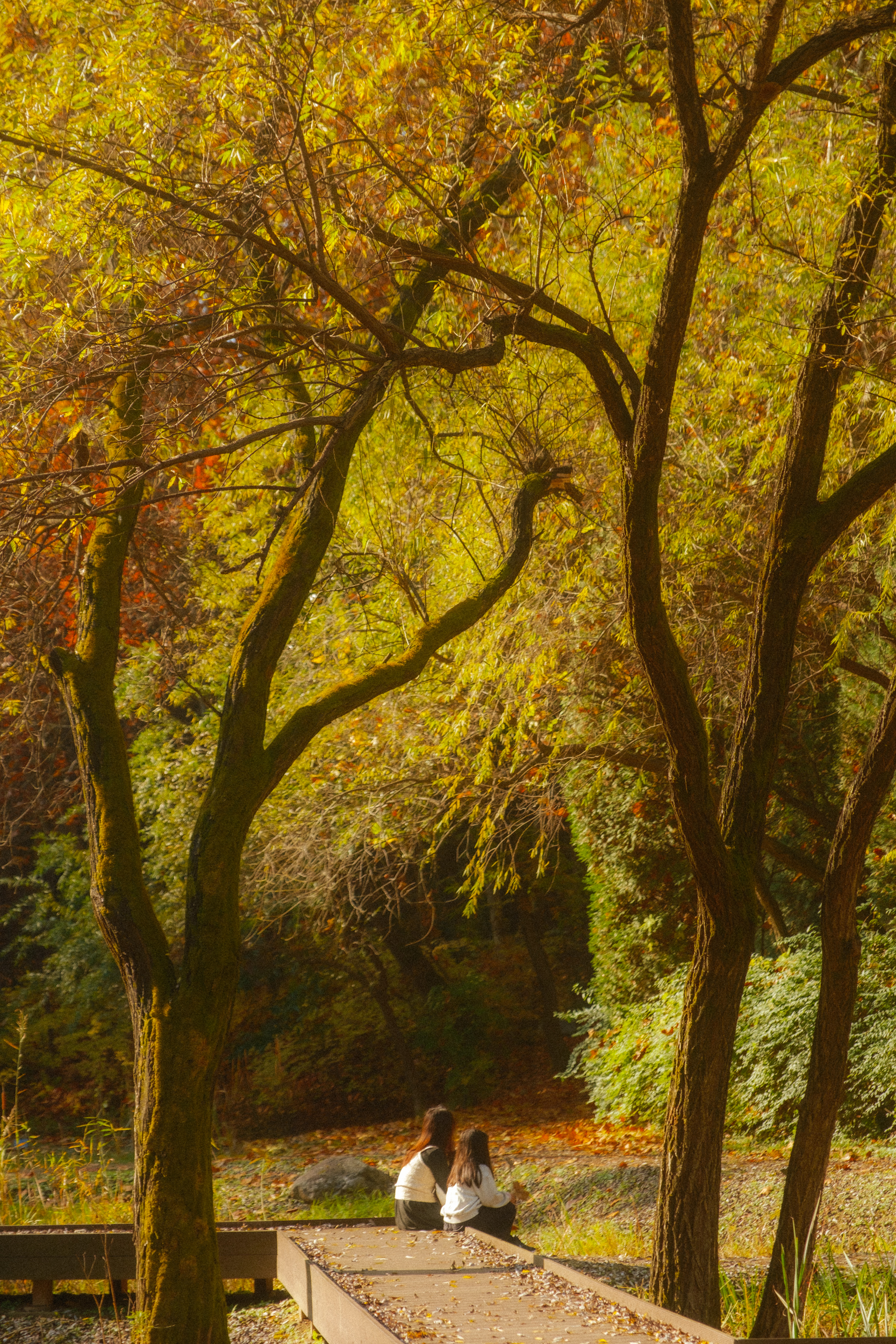 어제 담아온 가을 🍂 | 인스티즈