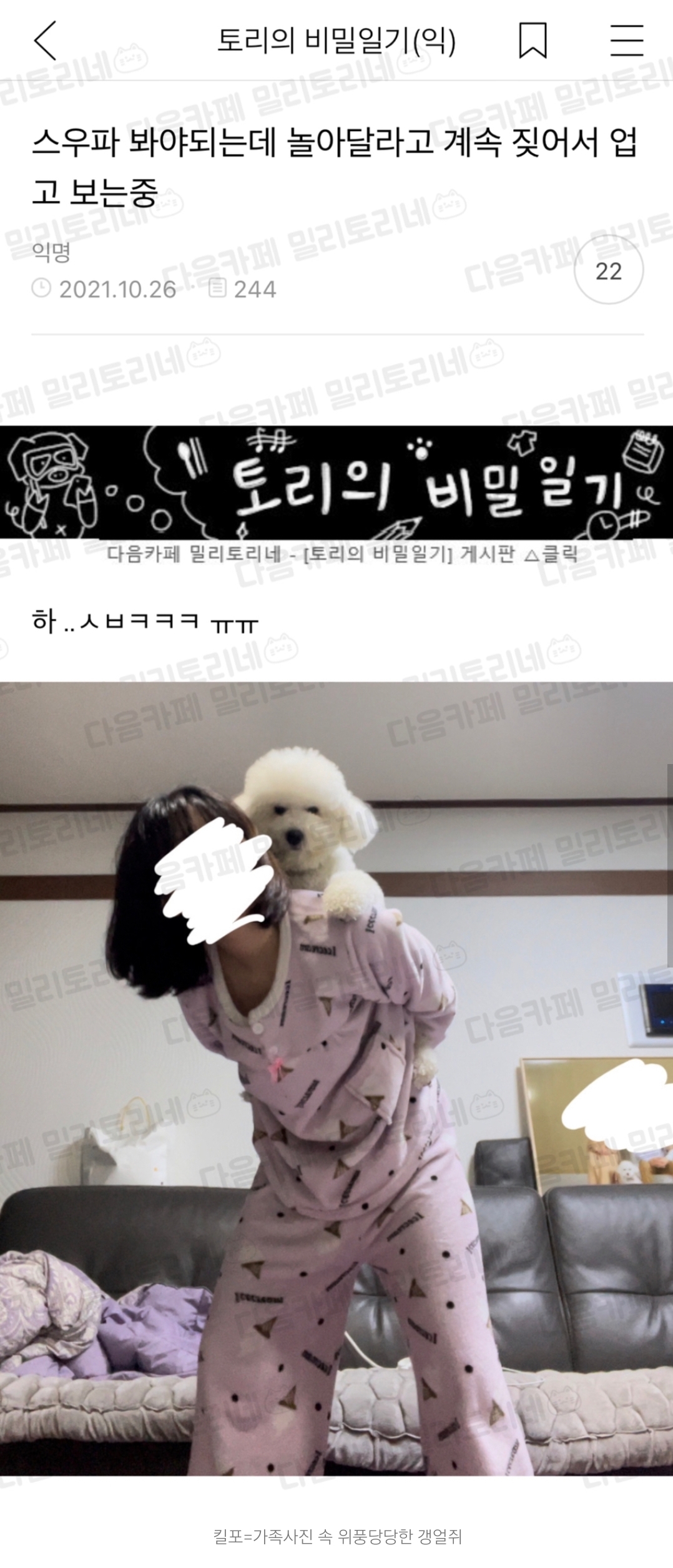 이거 셋 다 같은 강아지라고 함.jpg | 인스티즈