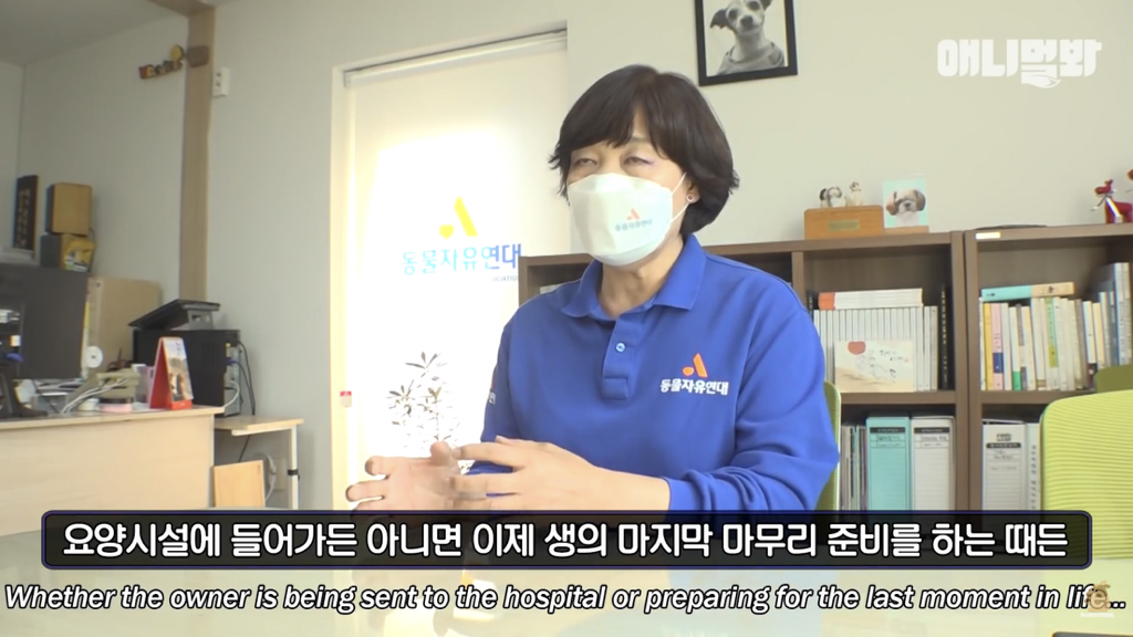 1년만에 자신을 두고 간 주인을 만난 강아지 반응 | 인스티즈