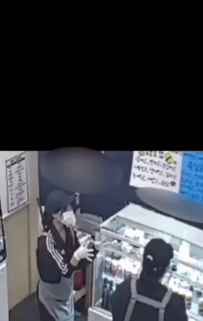 매장에 엄청 큰 벌레가 들어왔는데 직원들 반응이 너무 귀여움 | 인스티즈