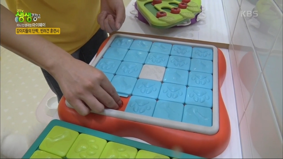 강아지 유치원.jpg | 인스티즈