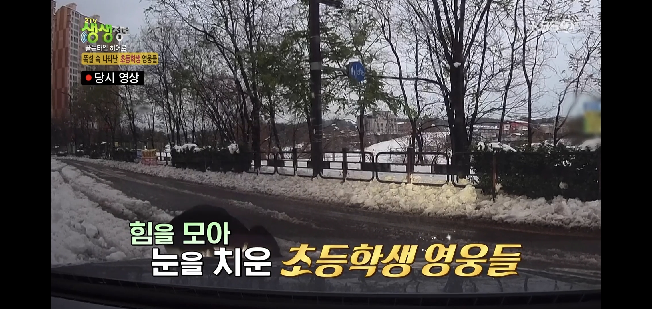 방금 생생정보통에 저번 폭설에 이슈였던 여시 나옴.jpg | 인스티즈