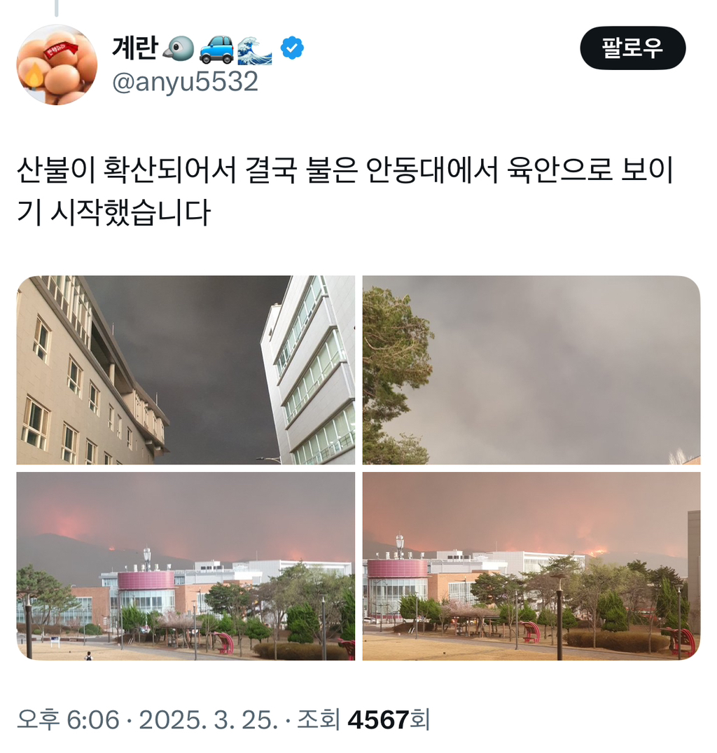 안동대에서 육안으로 보이기 시작한 산불 | 인스티즈