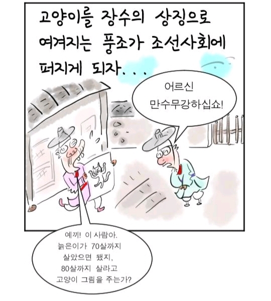우리나라는 왜 고양이를 "나비야~"라고 부르게 됐을까 | 인스티즈