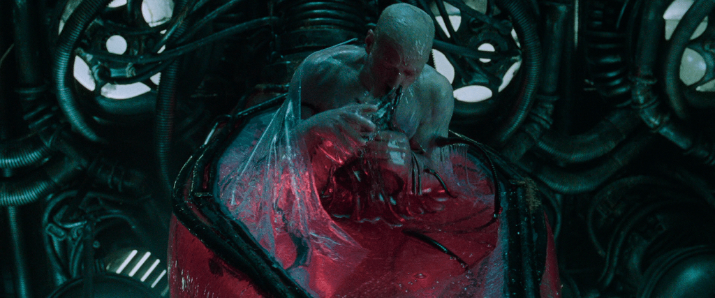 어이없지만 인간이 태양을 없애버린 이유.jpg (엥 이게 이거라고⁉️) | 인스티즈