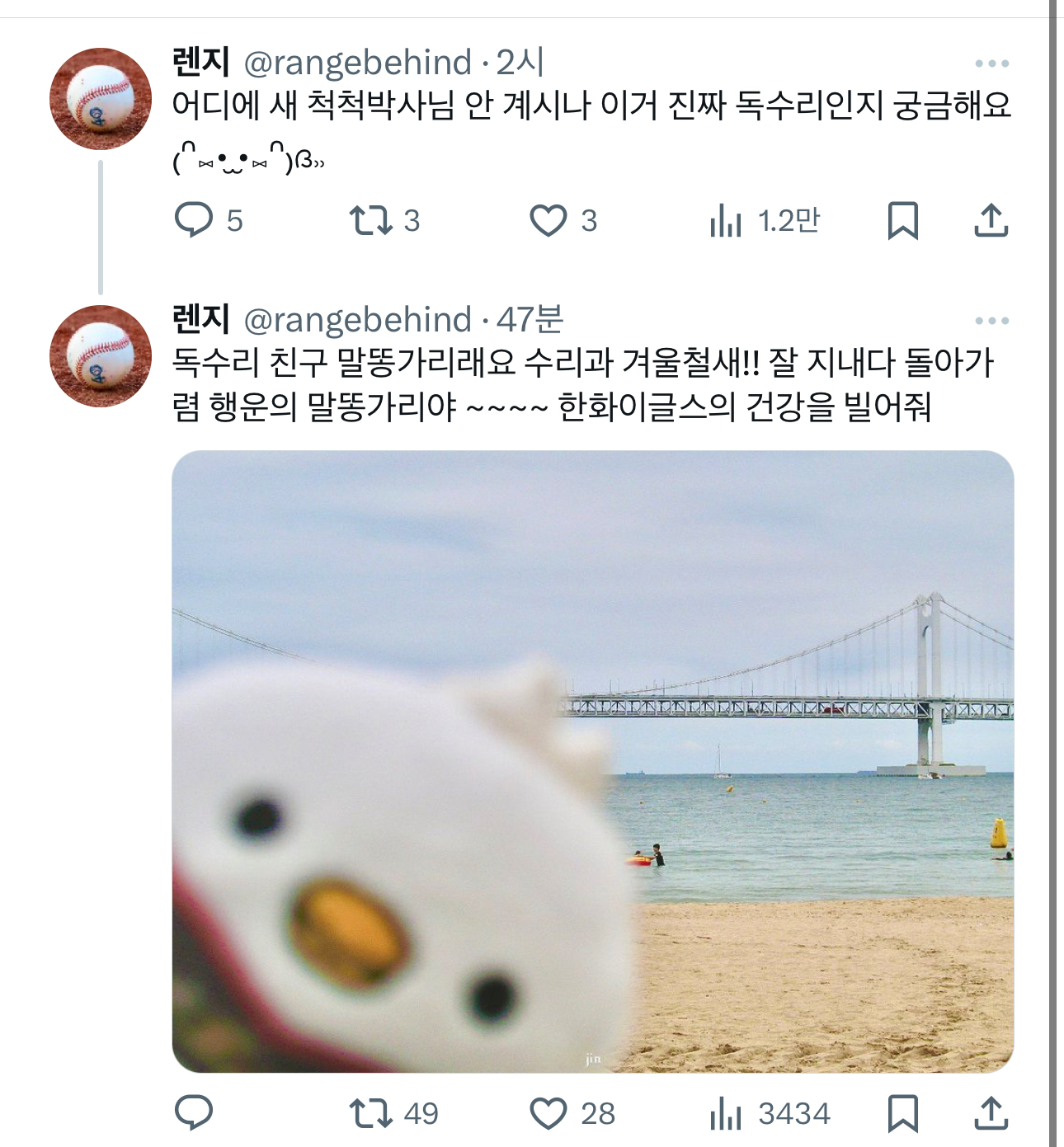 졸다가 개놀람 이글스파크 진짜 독수리 출현 | 인스티즈