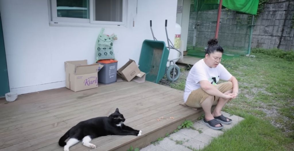 신발 물어 뜯은 고양이 찾아간 이영자 | 인스티즈