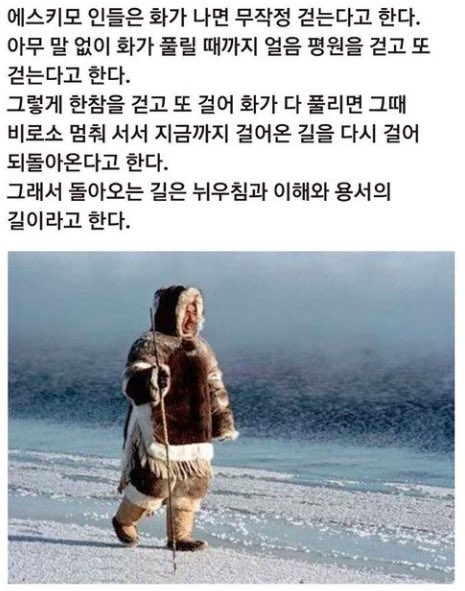 뭔가 이상하게 위로가 되는 짤들.jpg | 인스티즈