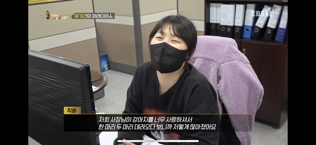 [세상에나쁜개는없다] 유기견의 파라다이스 | 인스티즈