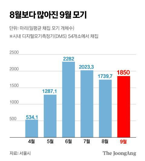 한여름보다 훨씬 급증한 요즘 가을모기 ;;; | 인스티즈