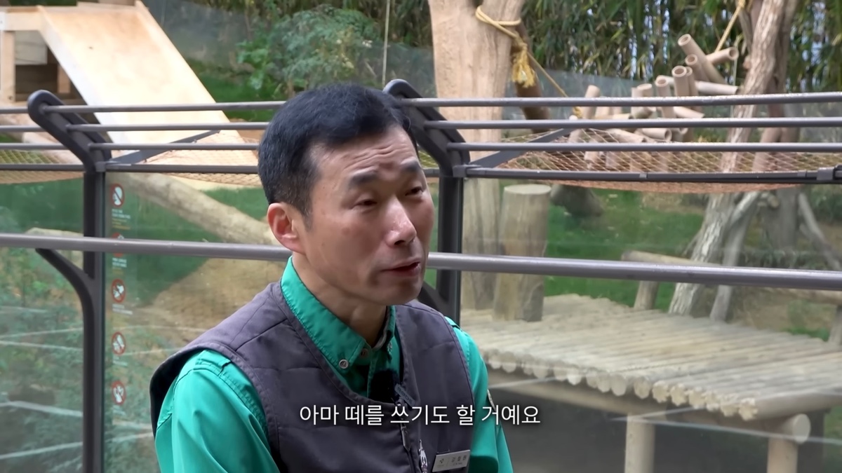강바오가 중국 사육사에게 보내는 영상편지 (오열주의) | 인스티즈