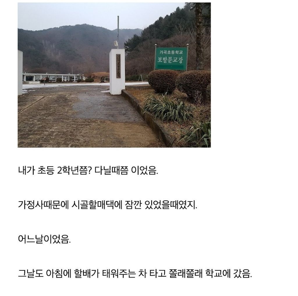 초딩 때 봤던 살인 사건 | 인스티즈