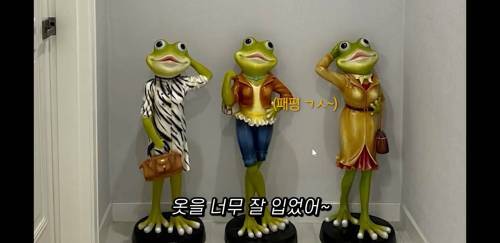 엄마가 30년 동안 모은 개구리방.jpg | 인스티즈