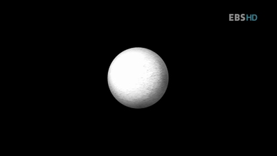 동양인 서양인 관점의 차이 | 인스티즈