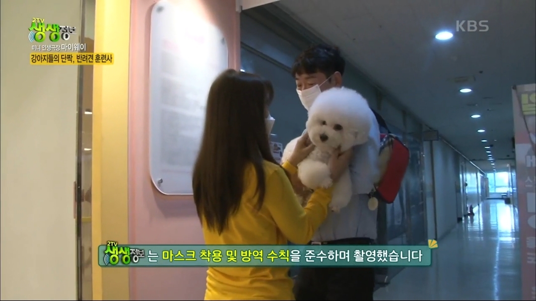 강아지 유치원.jpg | 인스티즈