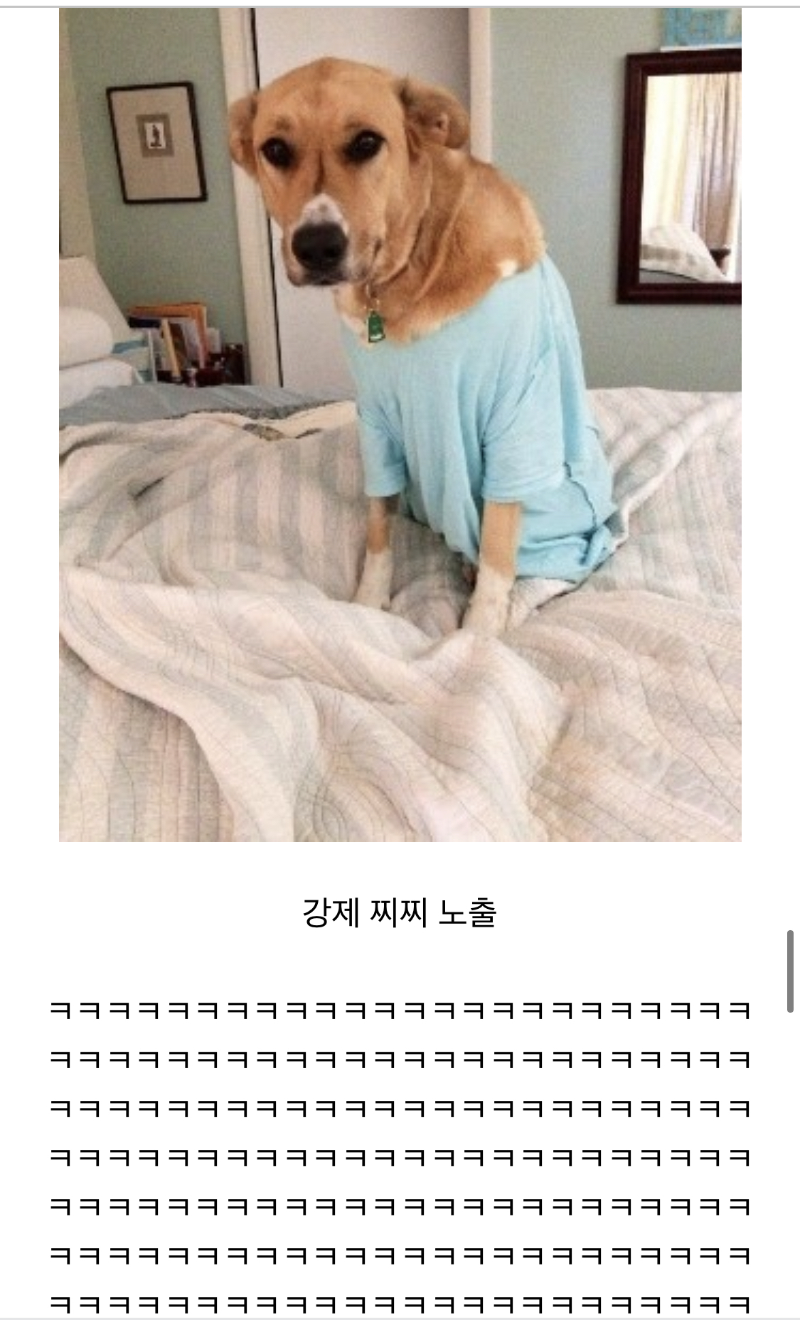 제이쓴 블로거 시절 글 찾아봄 | 인스티즈